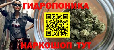 эйфоретик Кимры