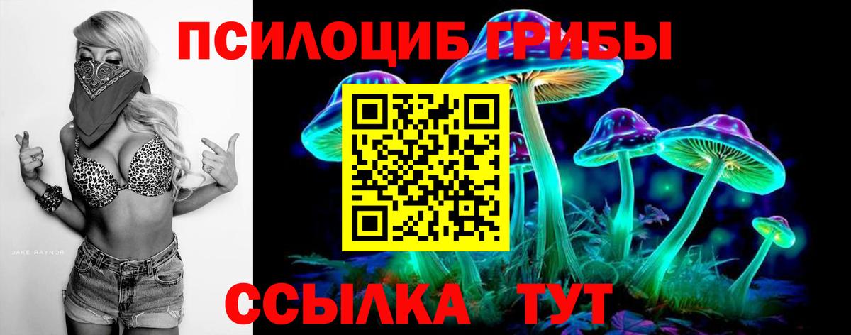 Псилоцибиновые грибы ЛСД  Вход с VPN  Курган 